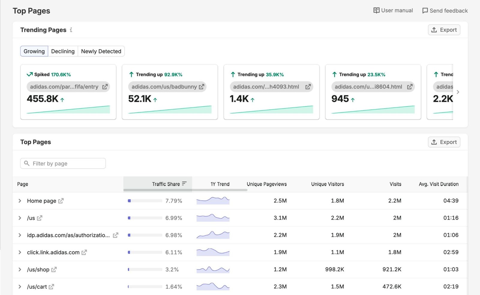 Top Pages report showing a list of a domain pages that draws the most visits.