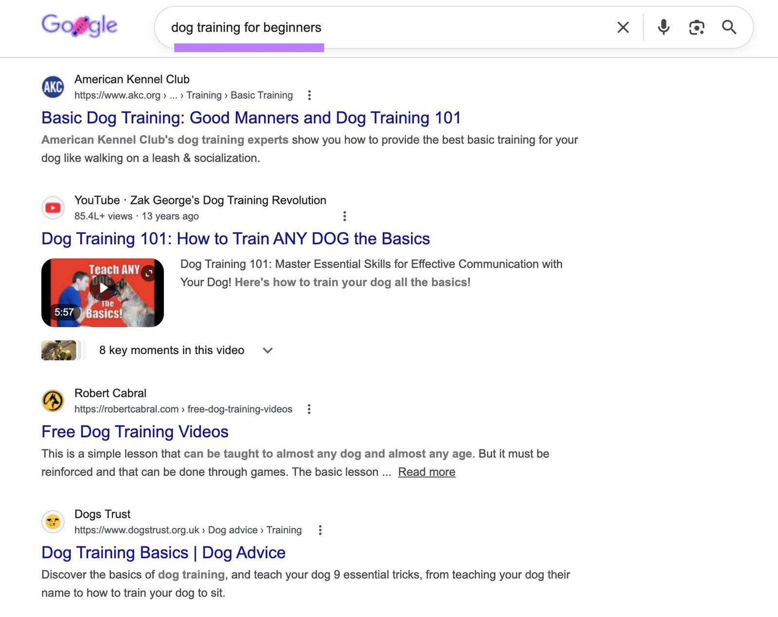 Google SERP for the term "dog training for beginners" showing how-to guides as the top results.